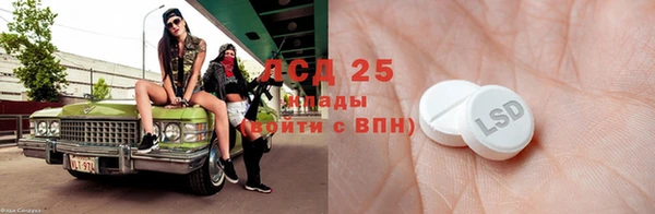 ГАЛЛЮЦИНОГЕННЫЕ ГРИБЫ Аркадак