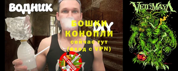 ГАЛЛЮЦИНОГЕННЫЕ ГРИБЫ Аркадак
