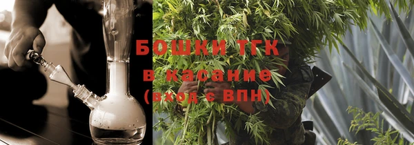 ГАЛЛЮЦИНОГЕННЫЕ ГРИБЫ Аркадак