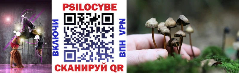 Псилоцибиновые грибы Psilocybe  Купить закладки  Среднеколымск 