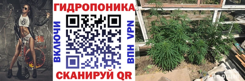 Бошки марихуана OG Kush Среднеколымск